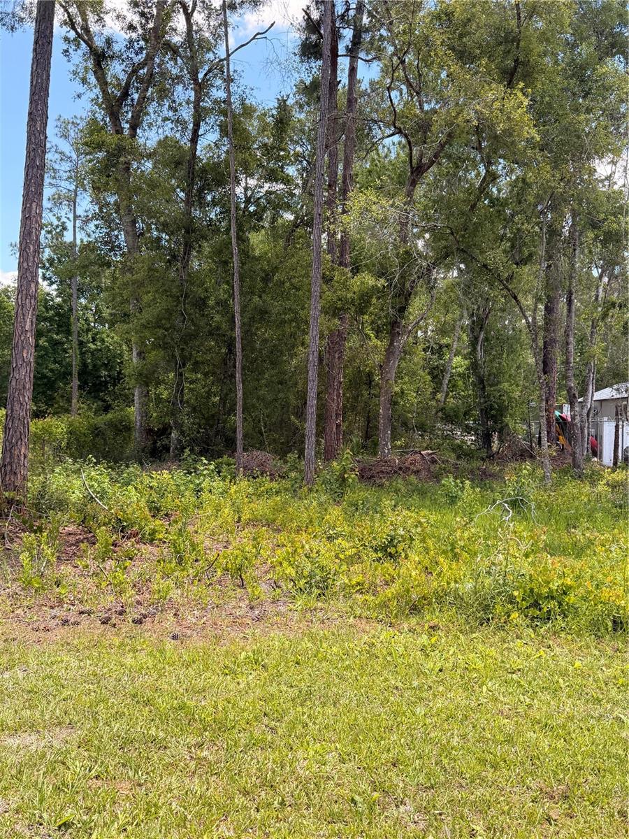 Image 2 of 3 For 6327 Fig Avenue