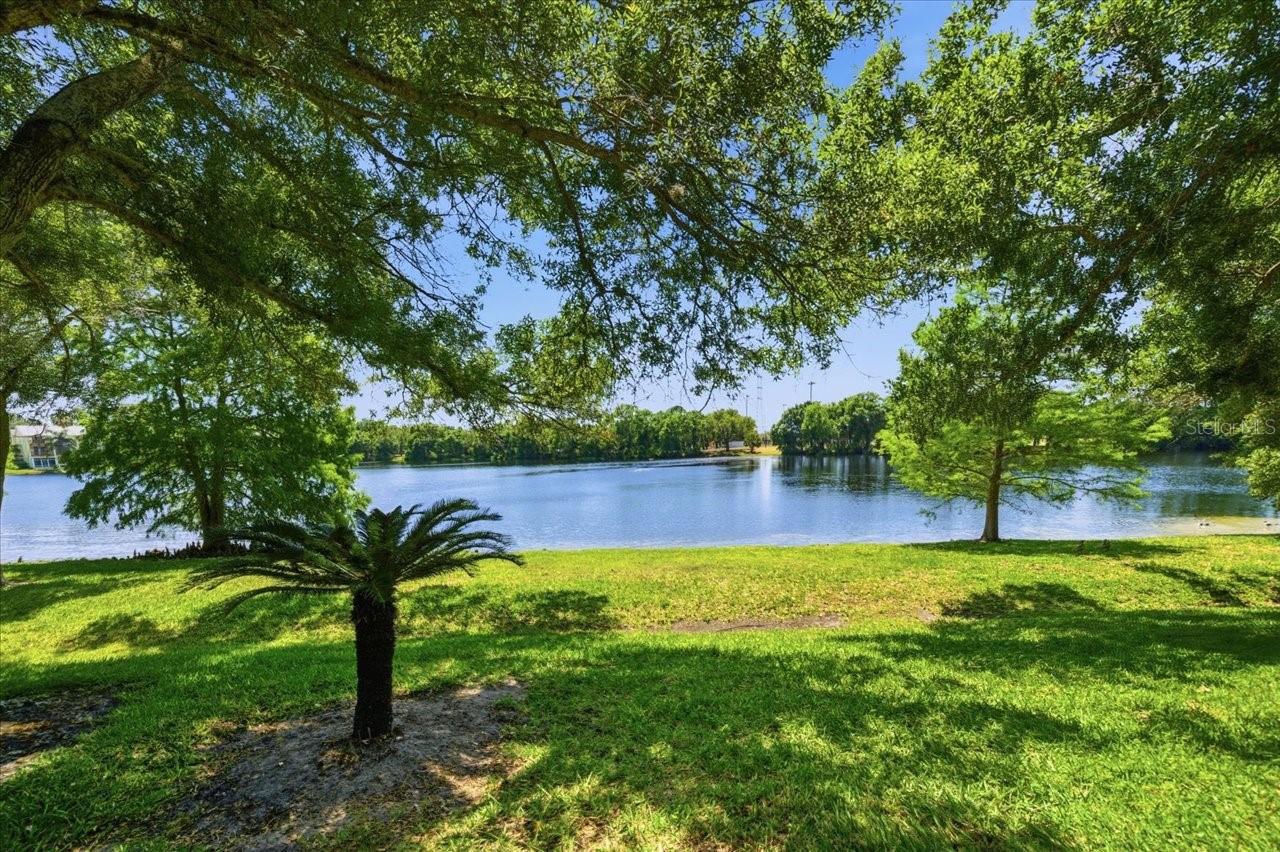 Image 41 of 58 For 2824 Countryside Boulevard 315