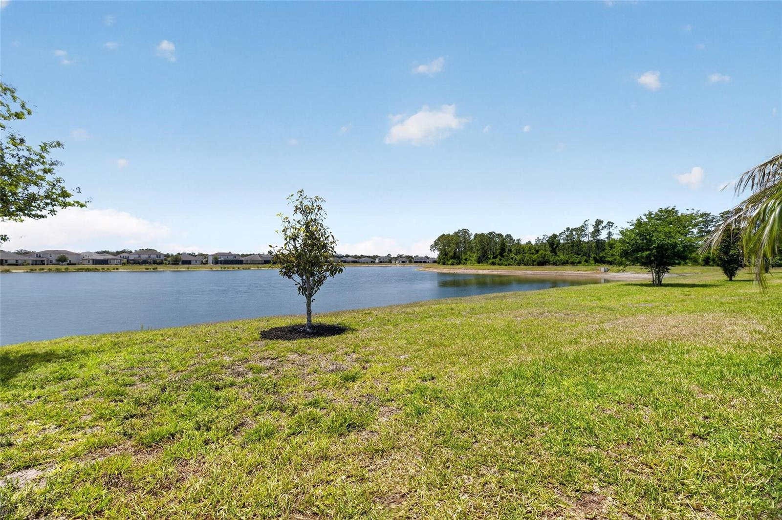 Image 5 of 30 For 11633 Cambium Crown Drive