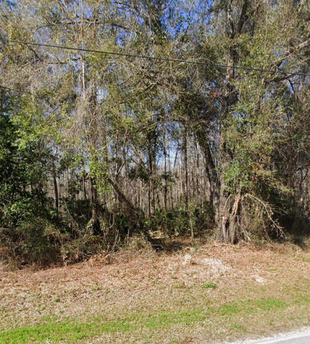 Details for  Key Lime  , NEW PORT RICHEY, FL 34654