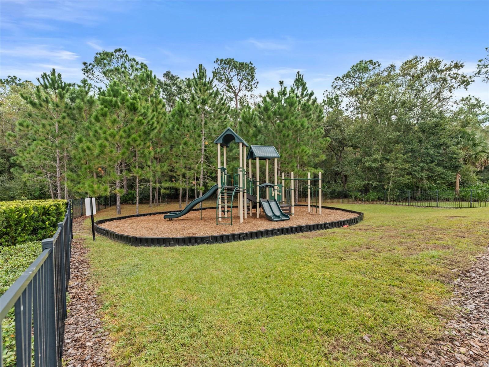 Image 32 of 32 For 26399 Limestone Springs Way