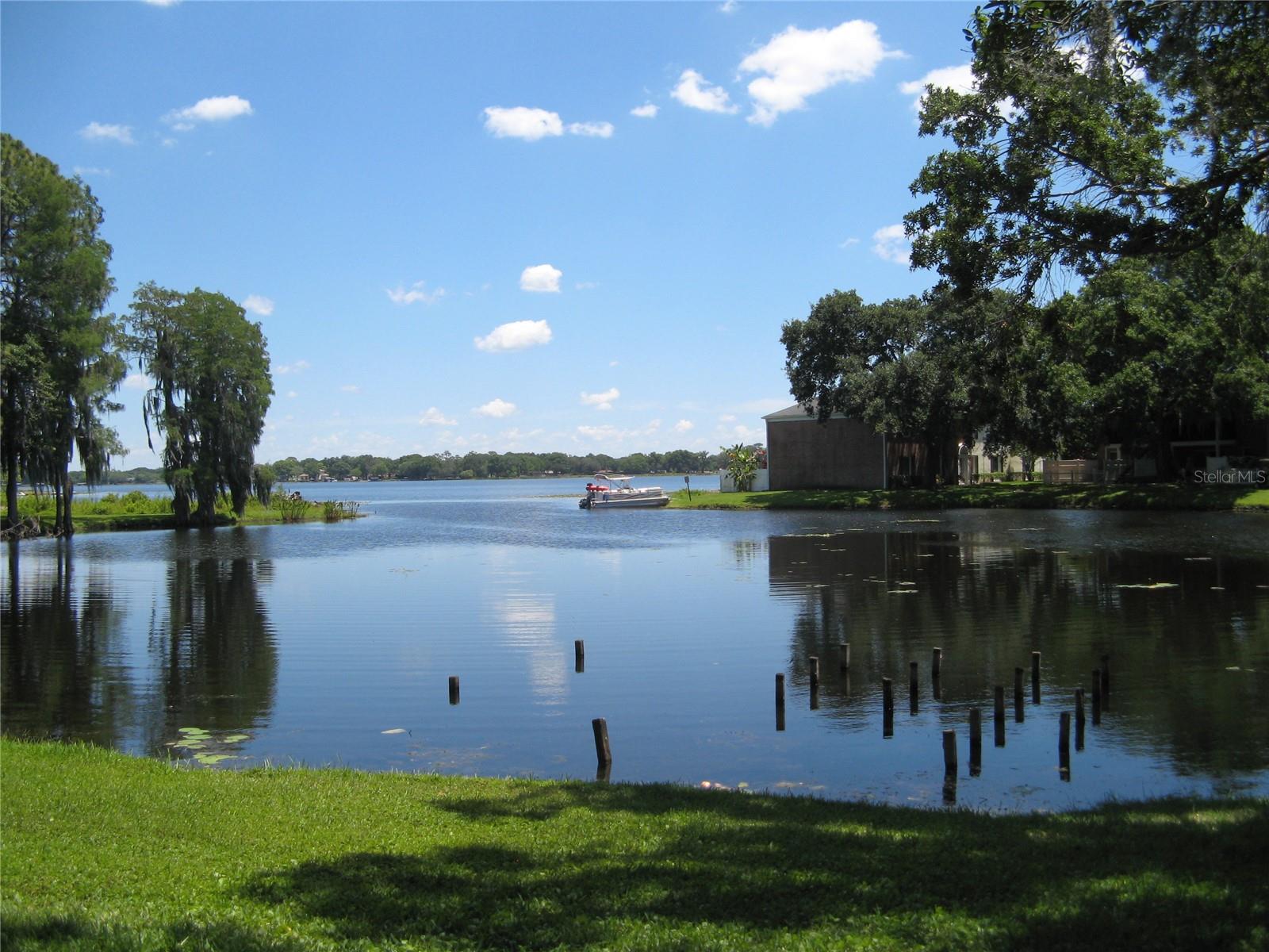 Listing photo id 23 for 13725 Juniper Blossom Drive 202