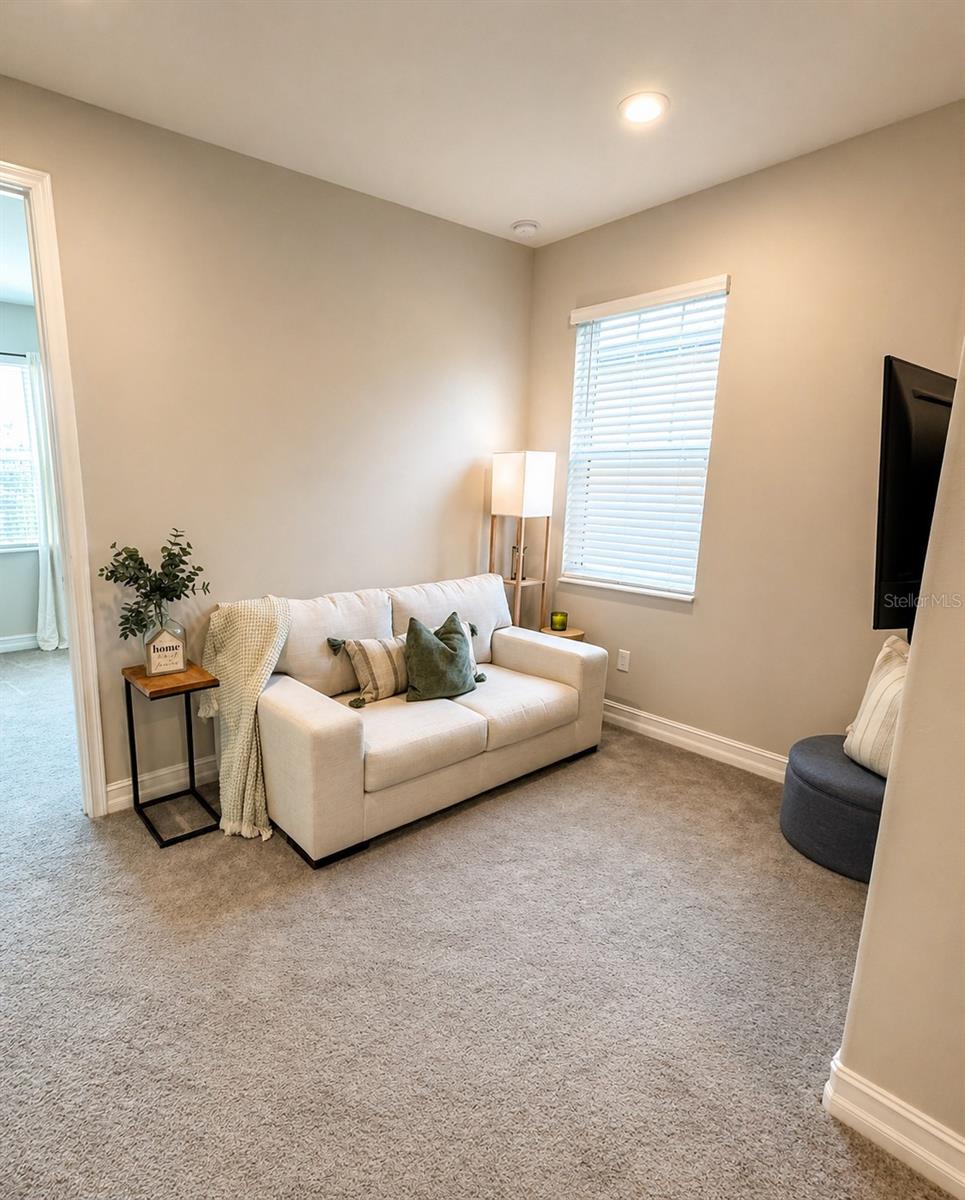 Image 19 of 57 For 5054 San Martino Drive