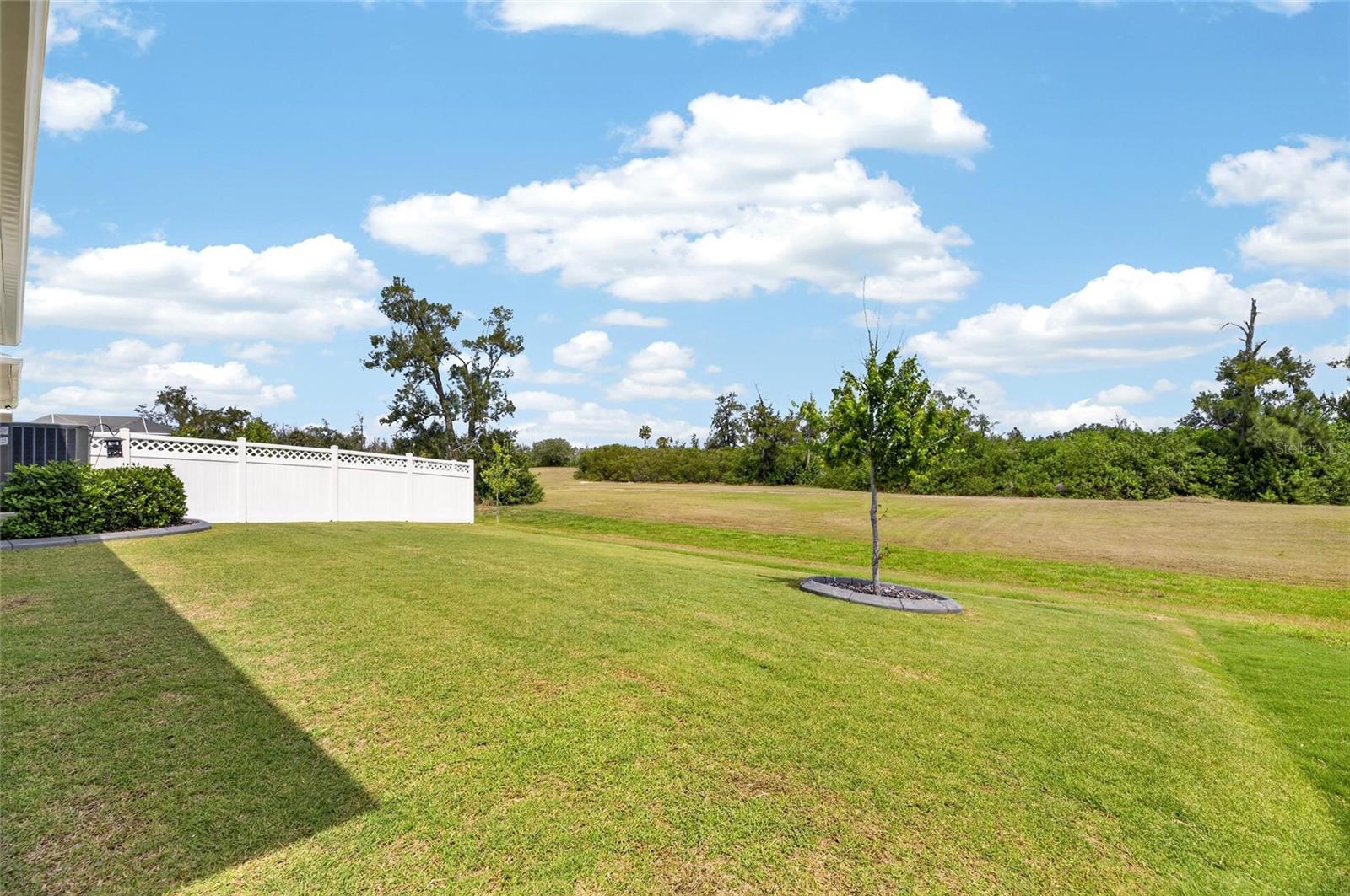 Image 46 of 88 For 1019 Signet Drive
