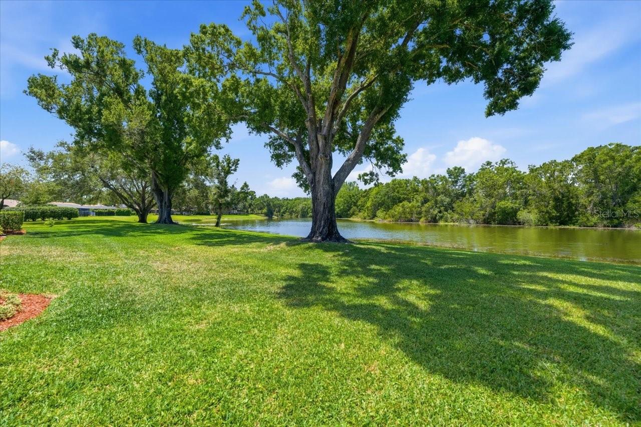 Listing photo id 37 for 4326 Middle Lake Drive