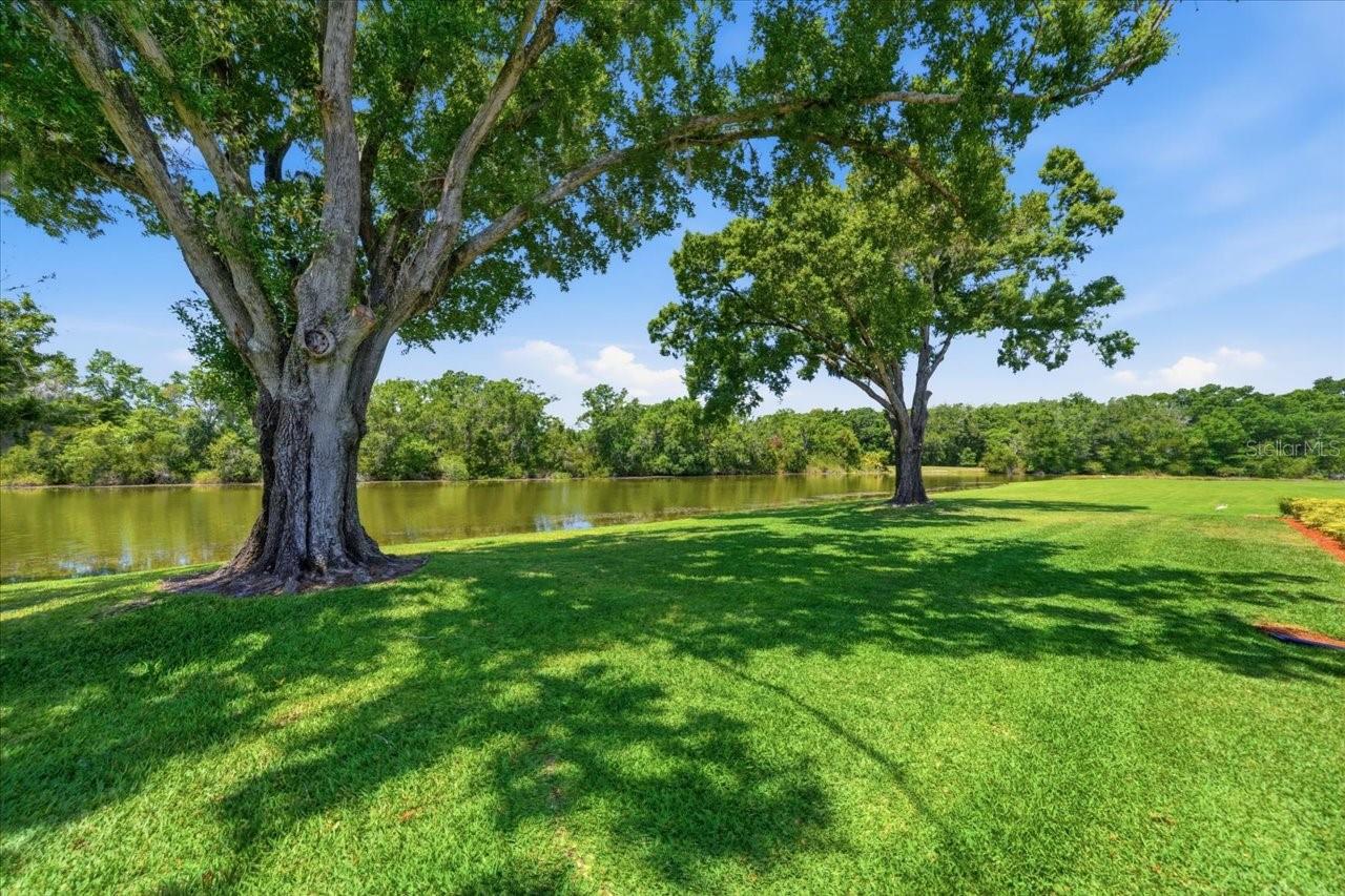 Listing photo id 38 for 4326 Middle Lake Drive