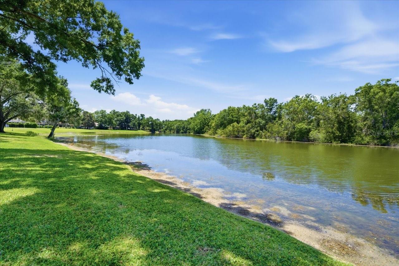 Listing photo id 6 for 4326 Middle Lake Drive