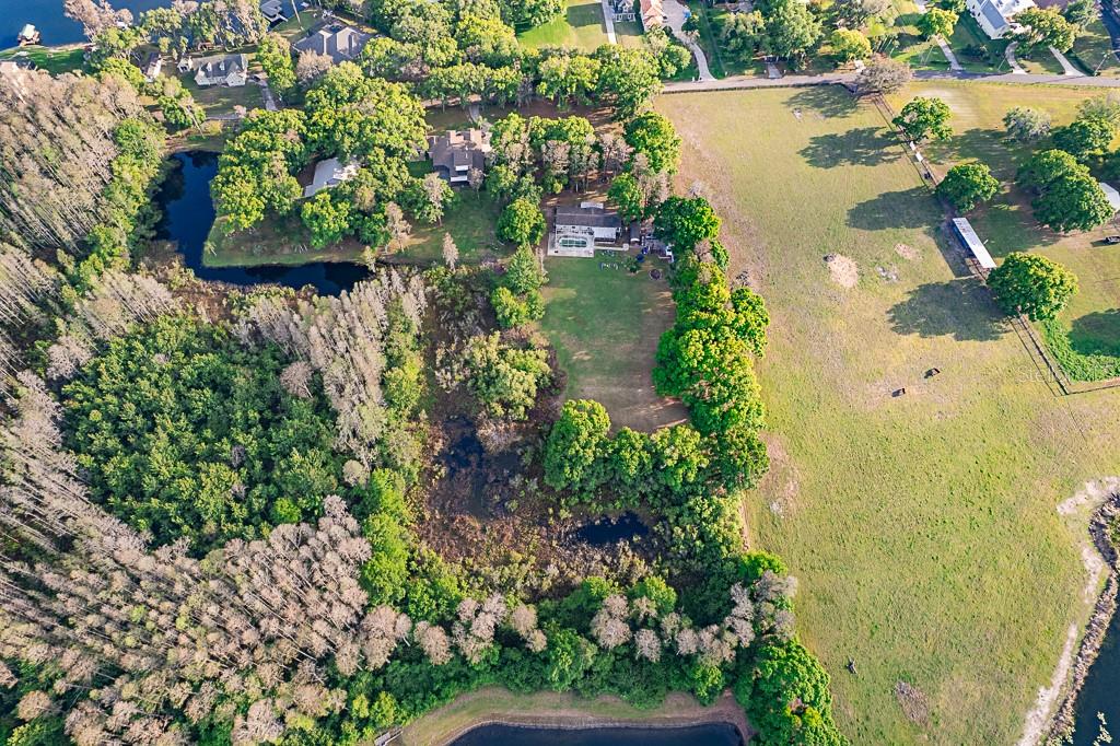 Listing photo id 9 for 13815 Plainview Road