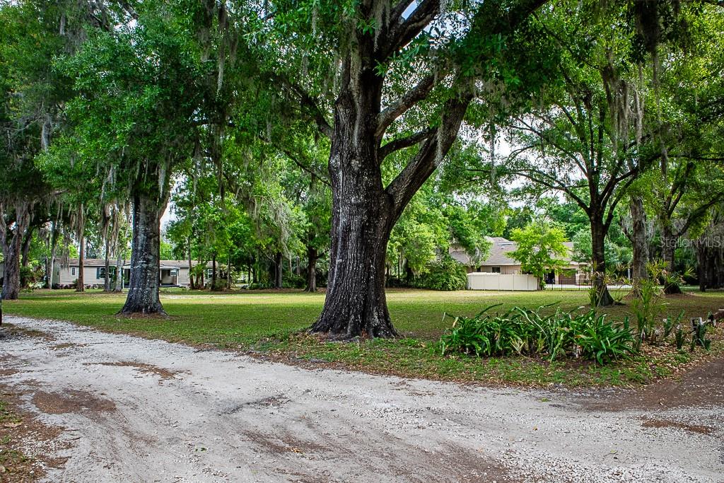 Listing photo id 17 for 13815 Plainview Road