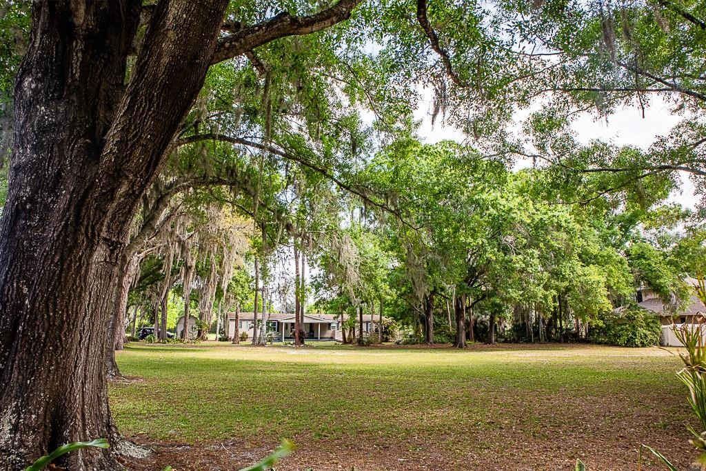 Listing photo id 21 for 13815 Plainview Road