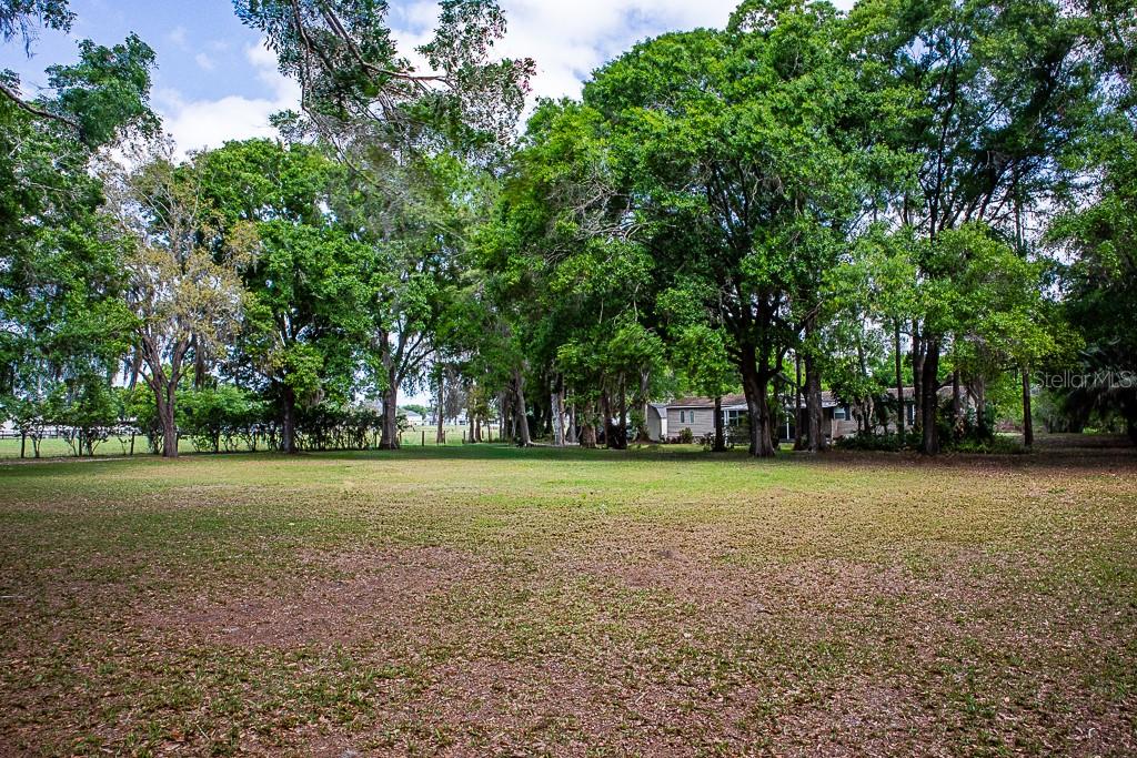 Listing photo id 23 for 13815 Plainview Road