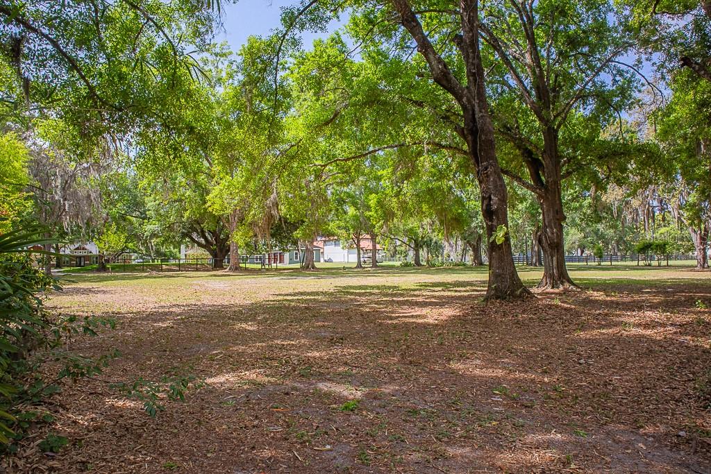 Listing photo id 25 for 13815 Plainview Road