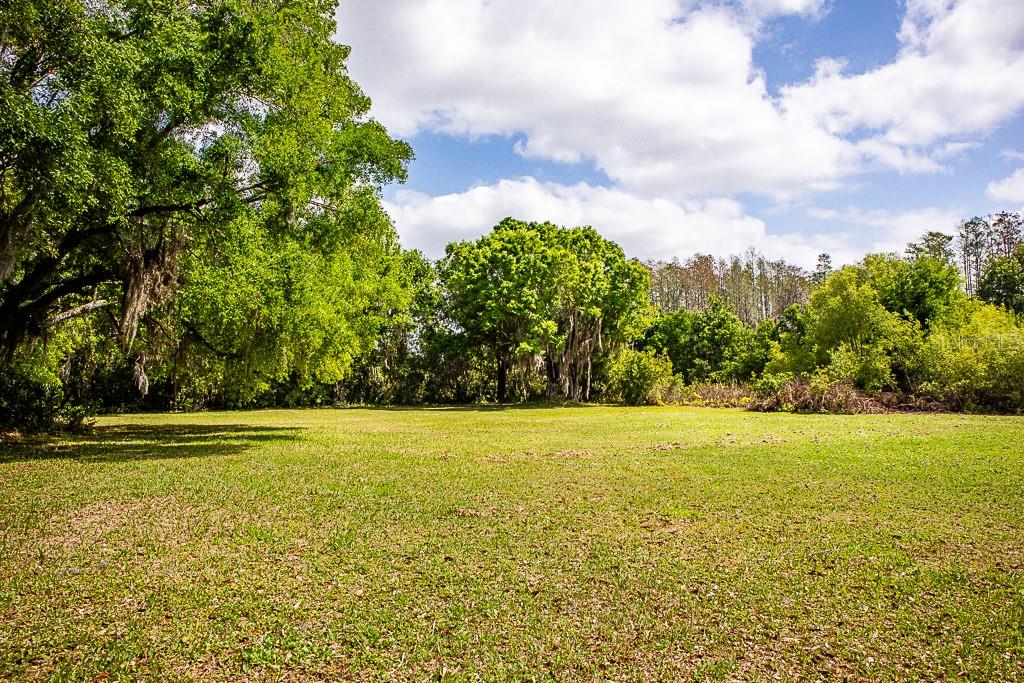 Listing photo id 26 for 13815 Plainview Road