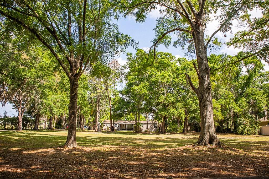Listing photo id 31 for 13815 Plainview Road