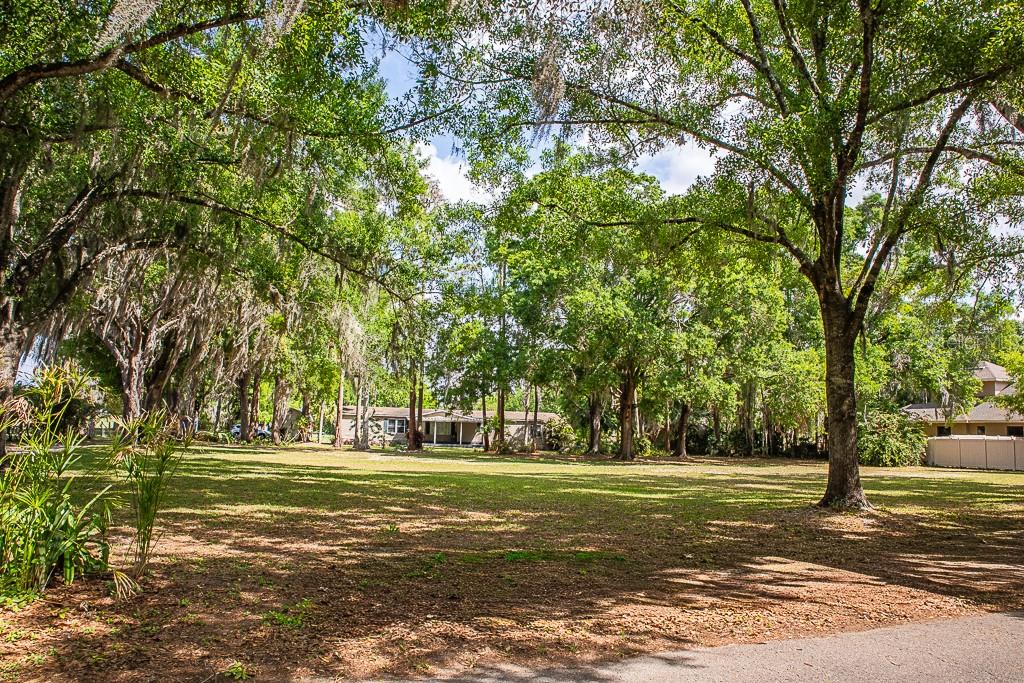 Listing photo id 32 for 13815 Plainview Road