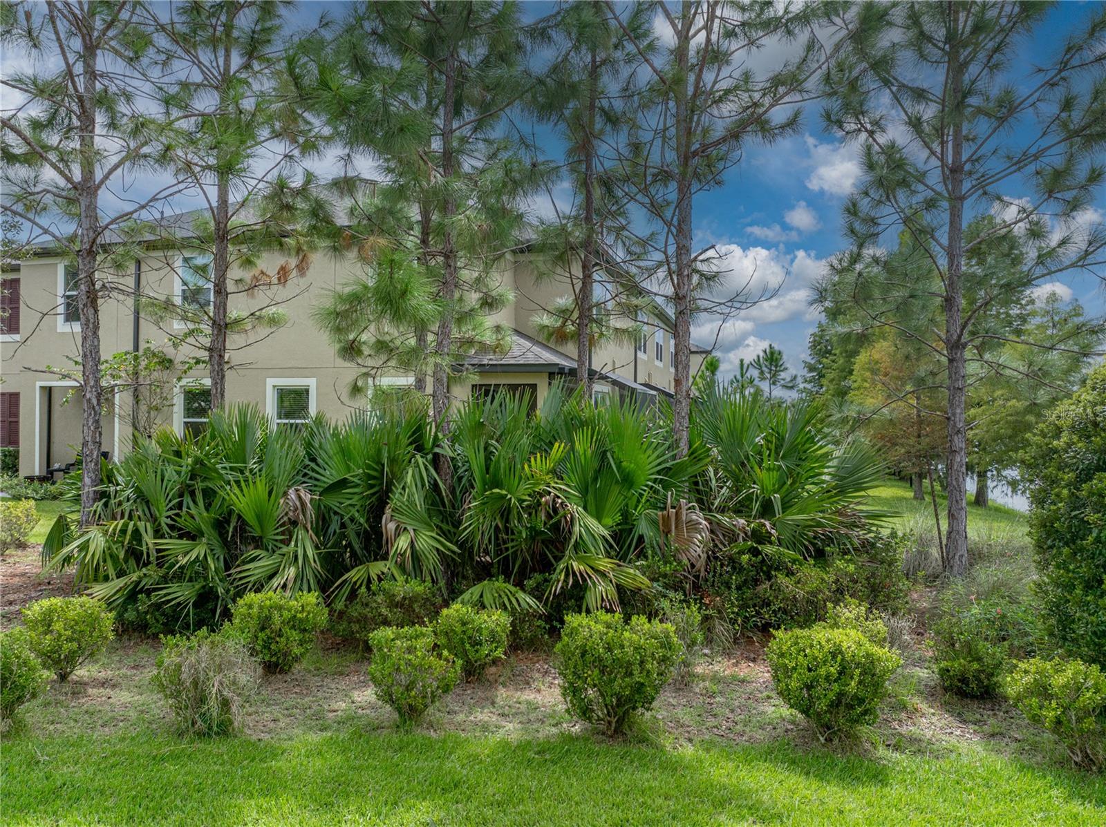Image 53 of 69 For 29934 Southwell Lane