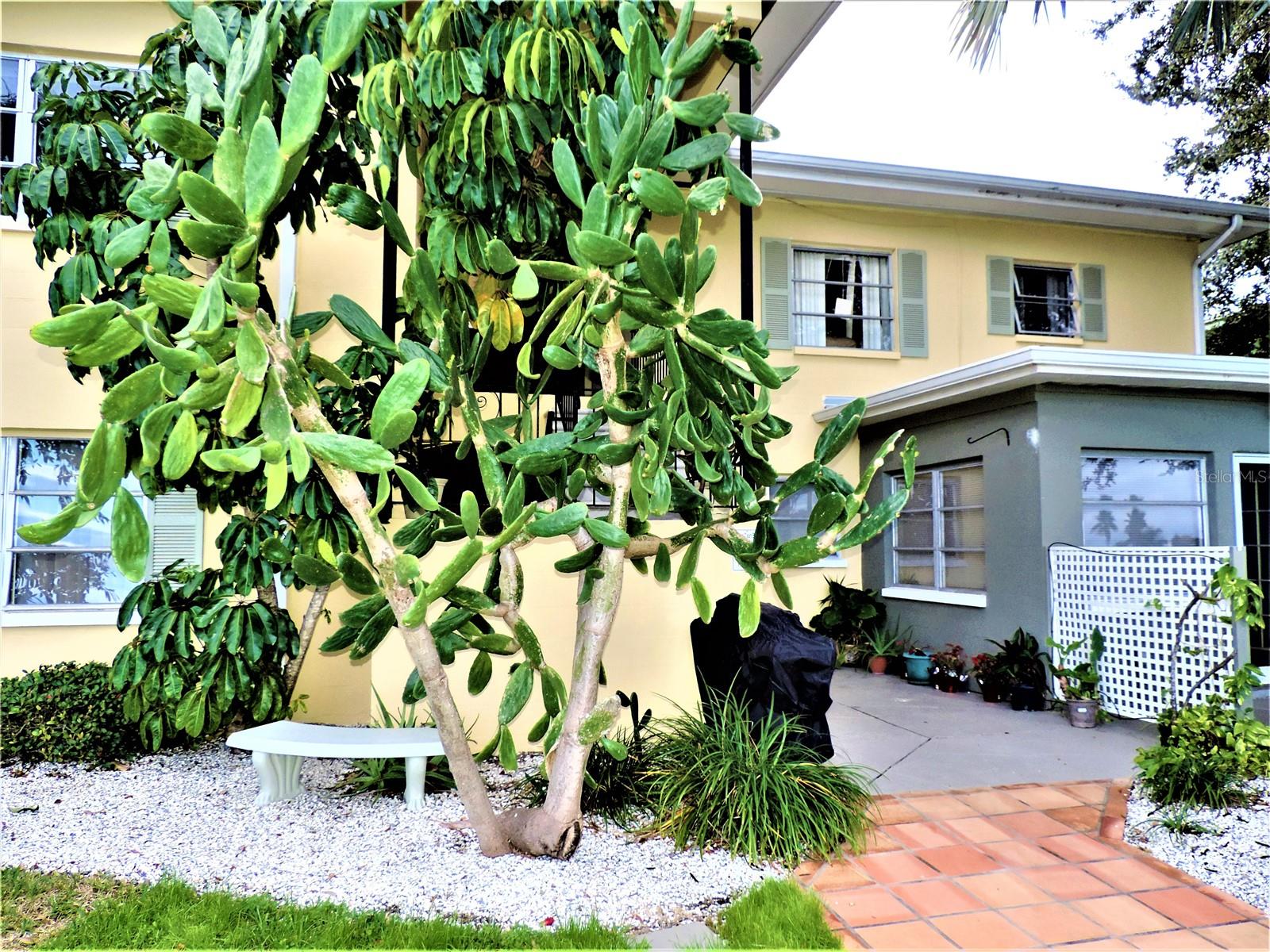 Image 2 of 19 For 12175 3rd Street E 10