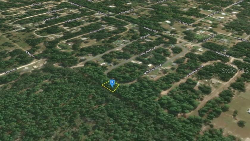 Image 9 of 9 For 8754 Buscetta Loop