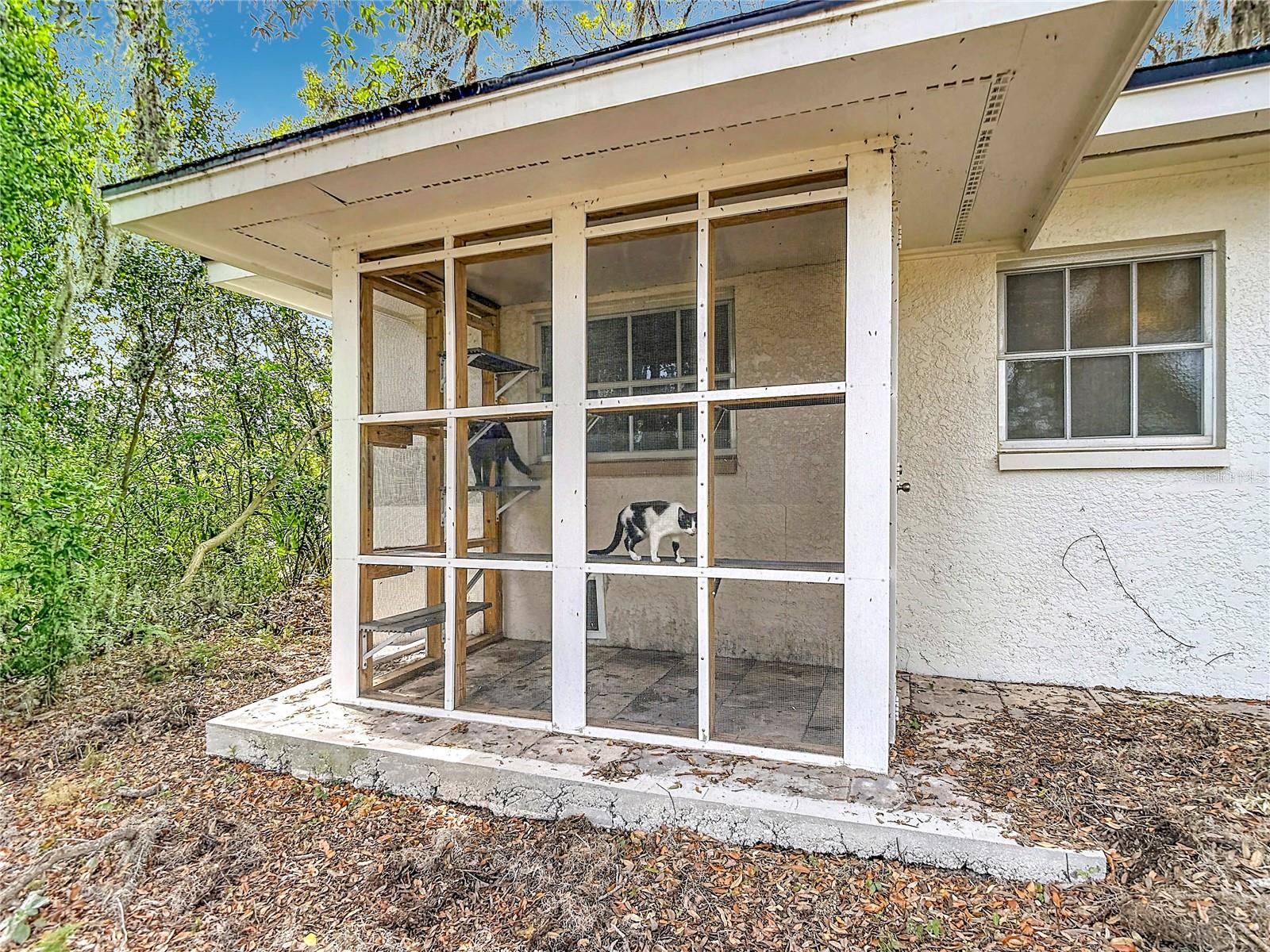Image 57 of 68 For 5433 Front Drive