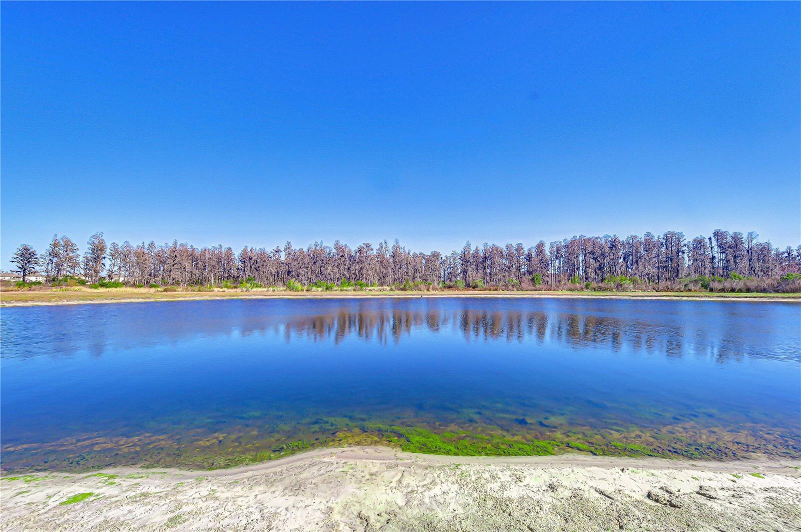 Image 49 of 62 For 10422 Gliding Eagle Way