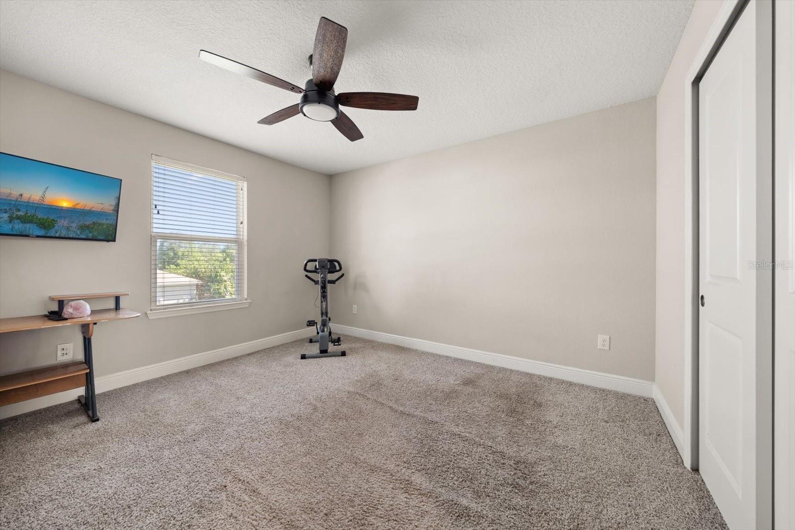 Listing photo id 19 for 5299 Neil Drive