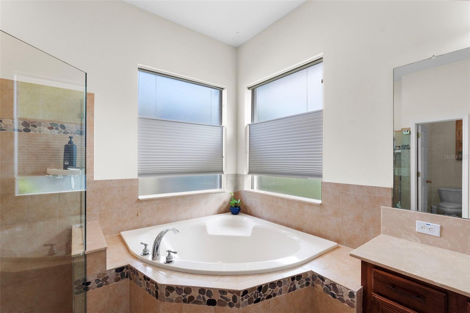 Image 30 of 77 For 8434 Westerland Drive