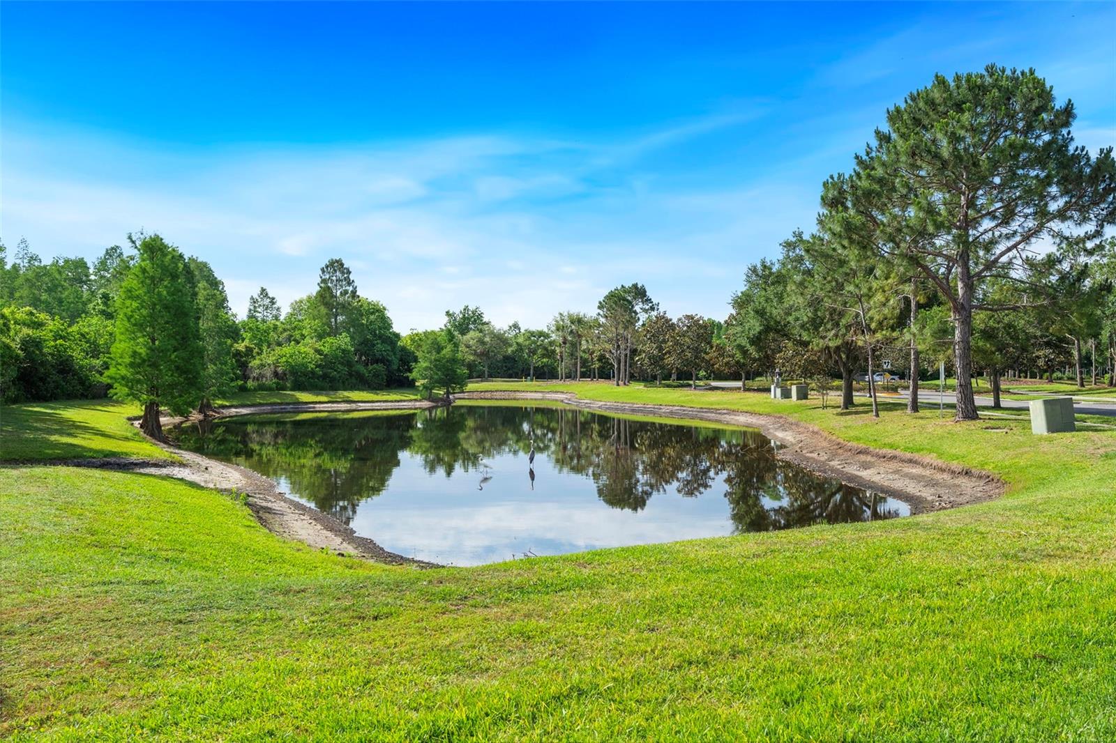 Image 62 of 77 For 8434 Westerland Drive