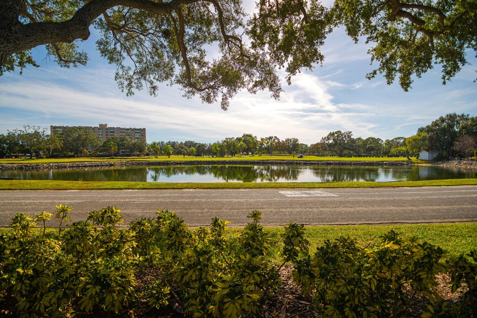 Image 47 of 70 For 2620 Cove Cay Drive 904