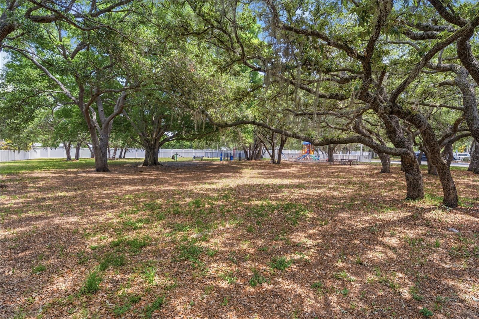 Listing photo id 4 for 3324 Manor Cove Circle