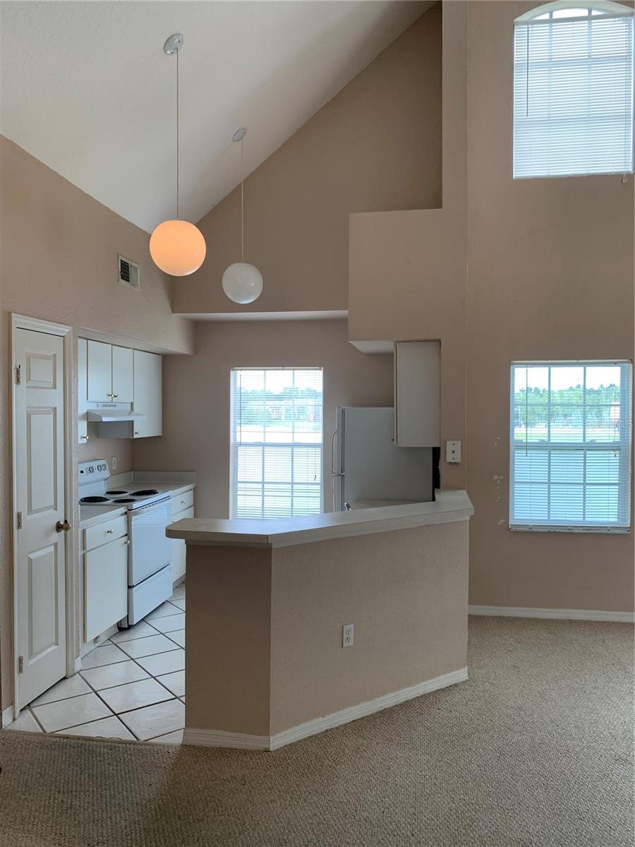 Image 5 of 19 For 9832 Lake Chase Island Way