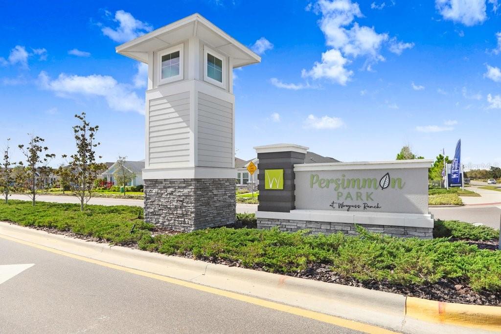 Image 30 of 36 For 28793 Sweet Persimmon Drive