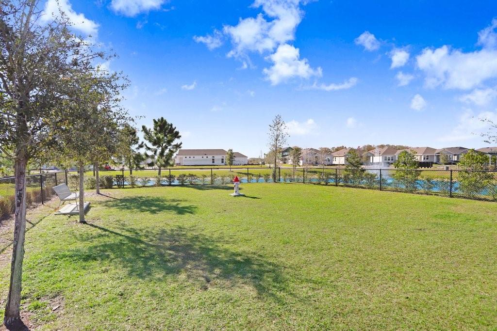 Image 36 of 36 For 28793 Sweet Persimmon Drive