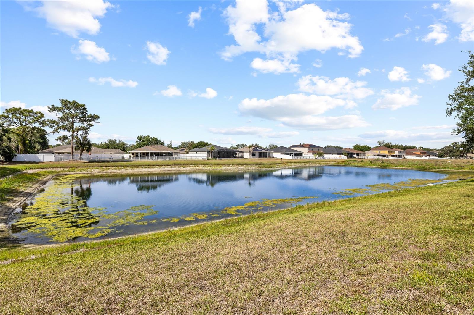 Image 48 of 55 For 11114 Goldenrod Fern Drive