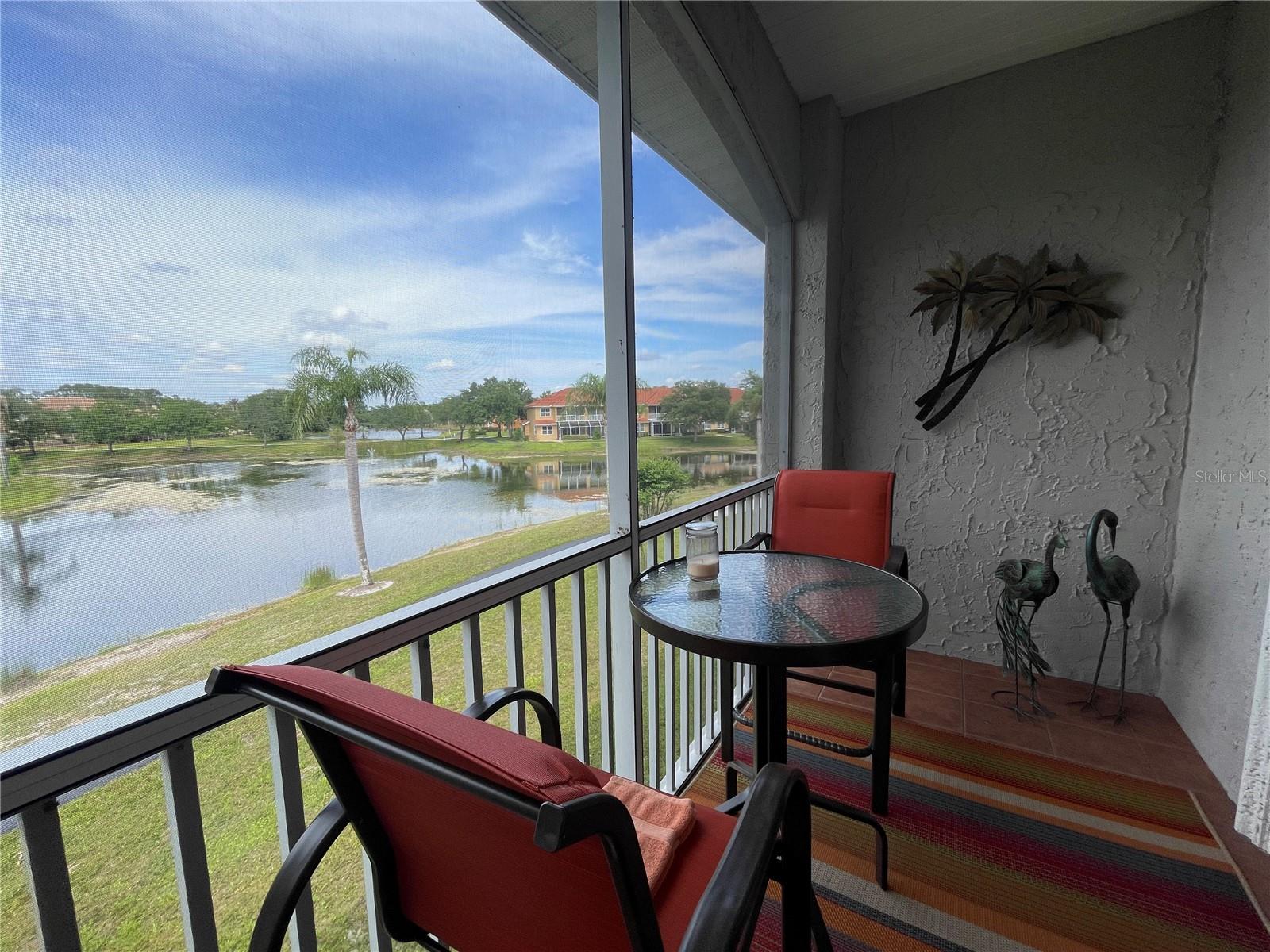Details for 6808 Dali Avenue 204, LAND O LAKES, FL 34637