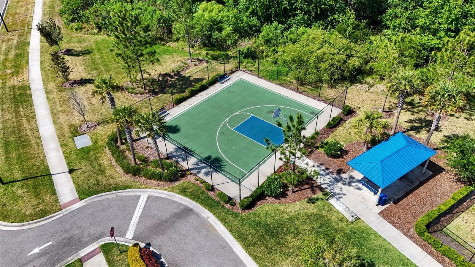 Image 37 of 41 For 3296 Suncoast Plains Drive