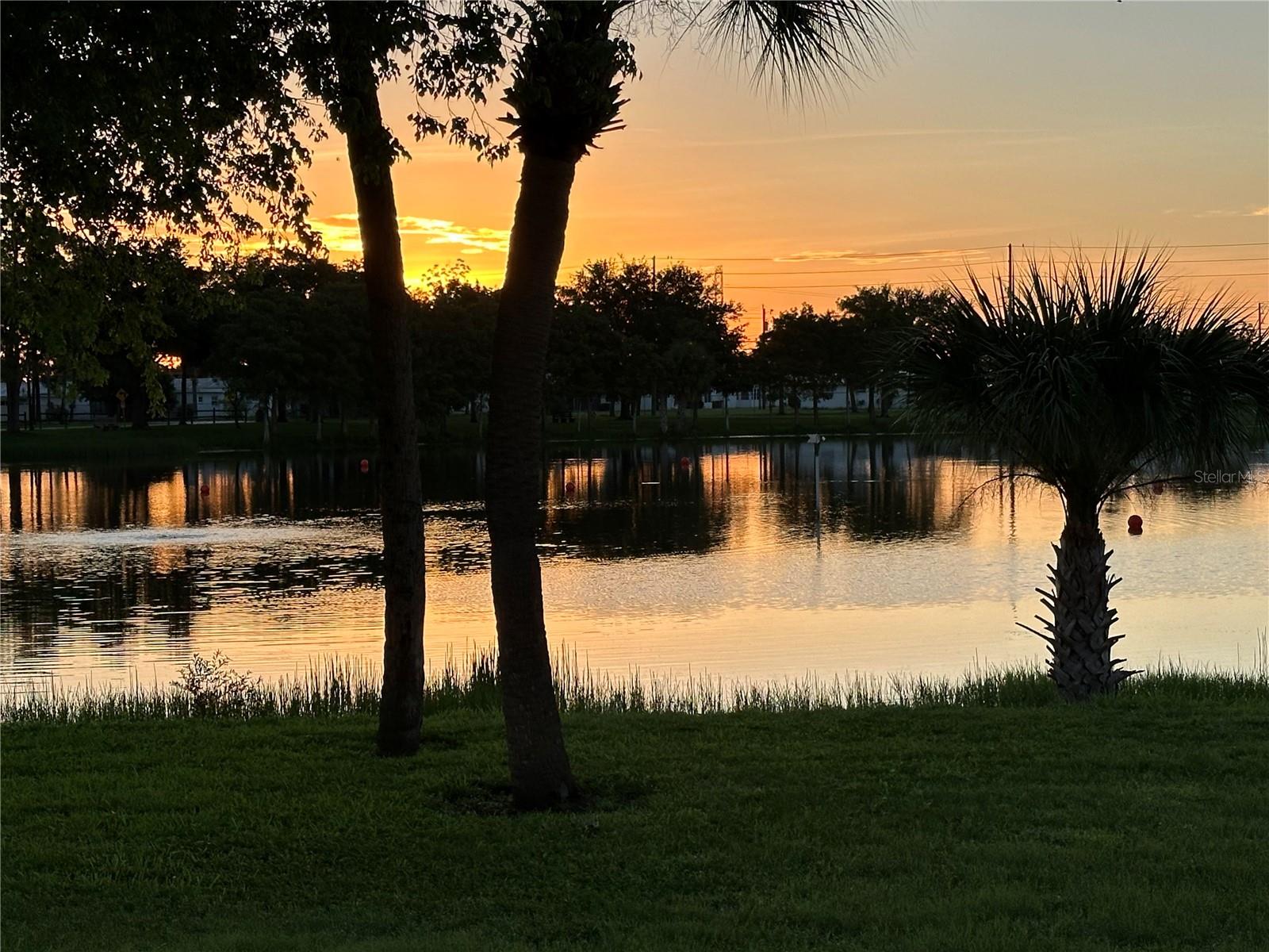 Image 39 of 47 For 3455 Mainlands Boulevard S