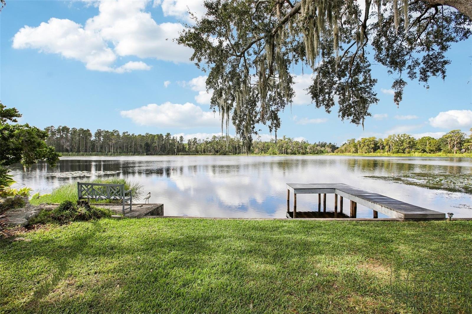 Details for 19254 Blount Road, LUTZ, FL 33558