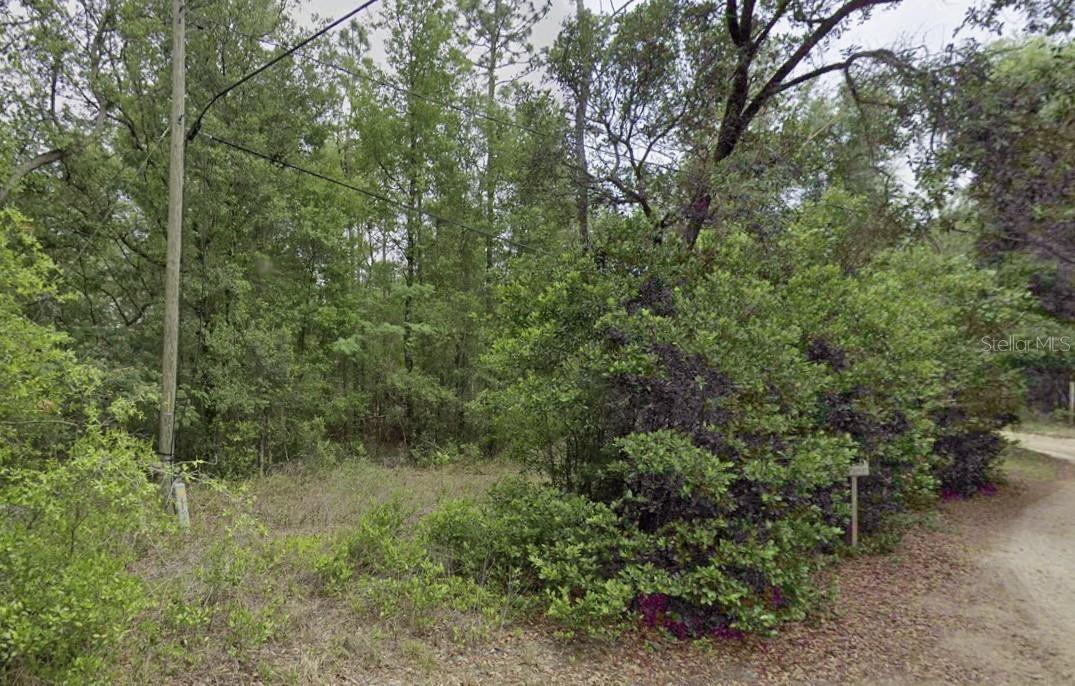 Details for 10013 Holyoak Terrace, DUNNELLON, FL 34433