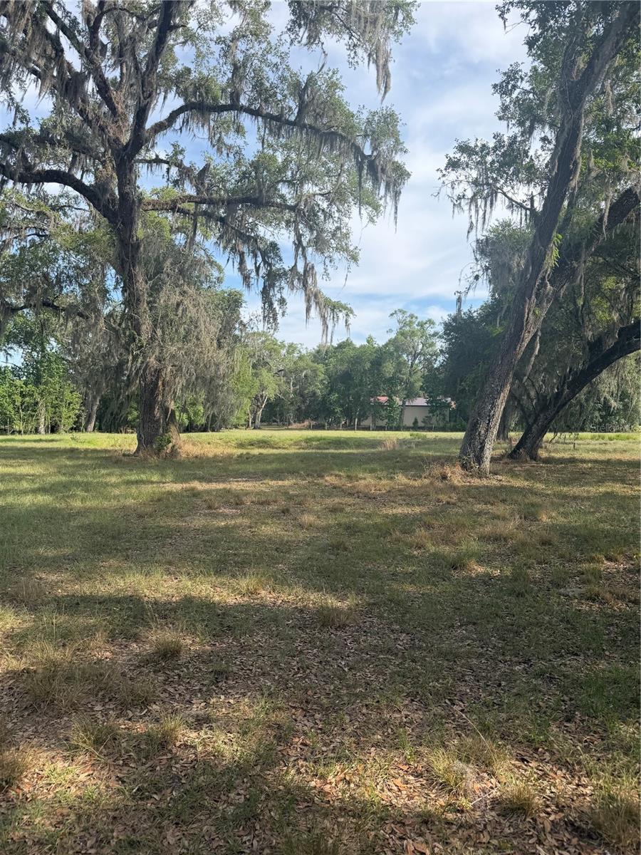 Details for 000 Palomino Lakes Dr, DADE CITY, FL 33523