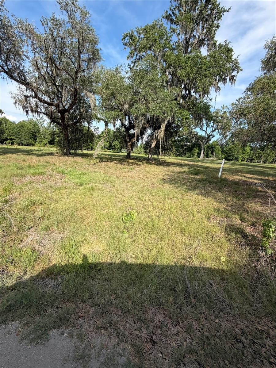 Image 12 of 19 For 000 Palomino Lakes Dr