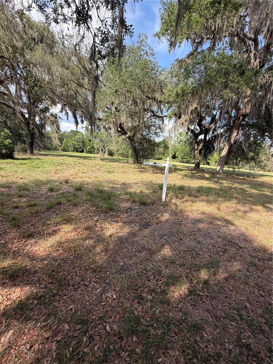 Image 14 of 19 For 000 Palomino Lakes Dr