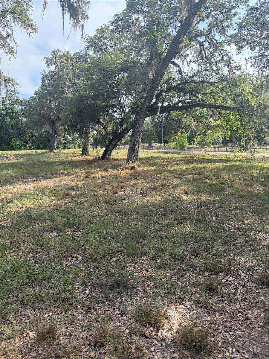 Image 17 of 19 For 000 Palomino Lakes Dr