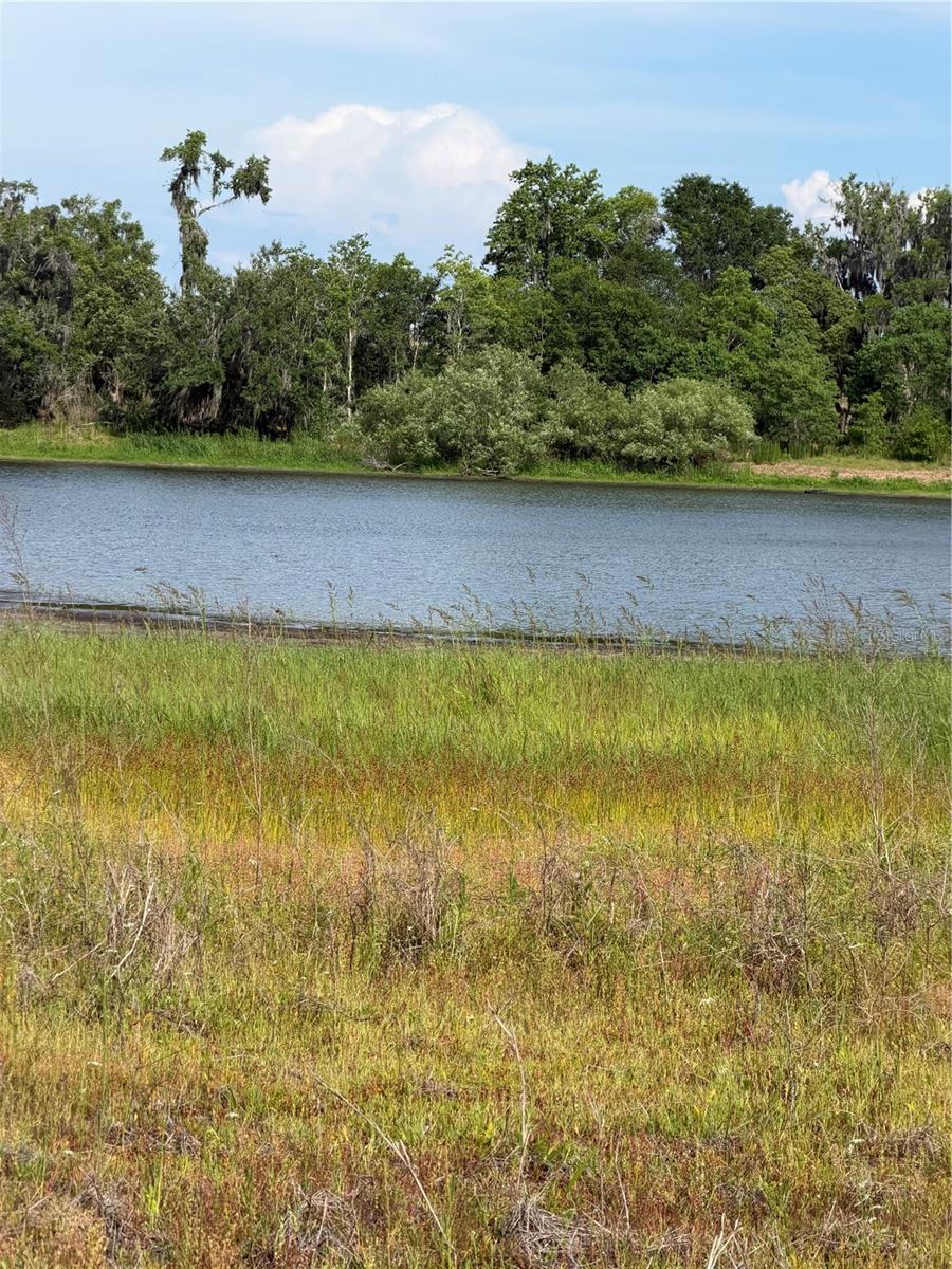 Image 18 of 19 For 000 Palomino Lakes Dr