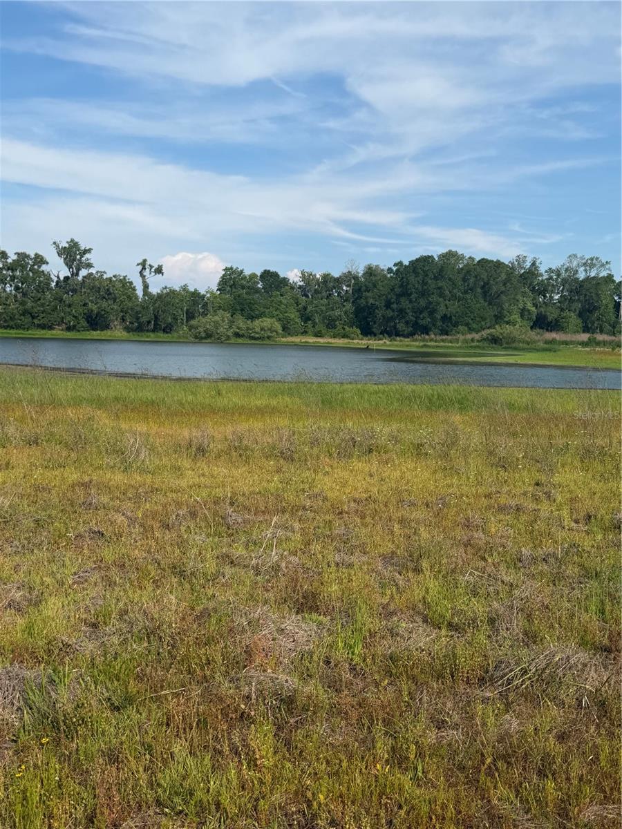 Image 19 of 19 For 000 Palomino Lakes Dr