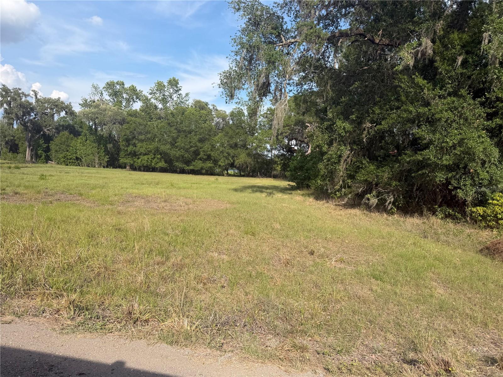 Image 5 of 19 For 000 Palomino Lakes Dr