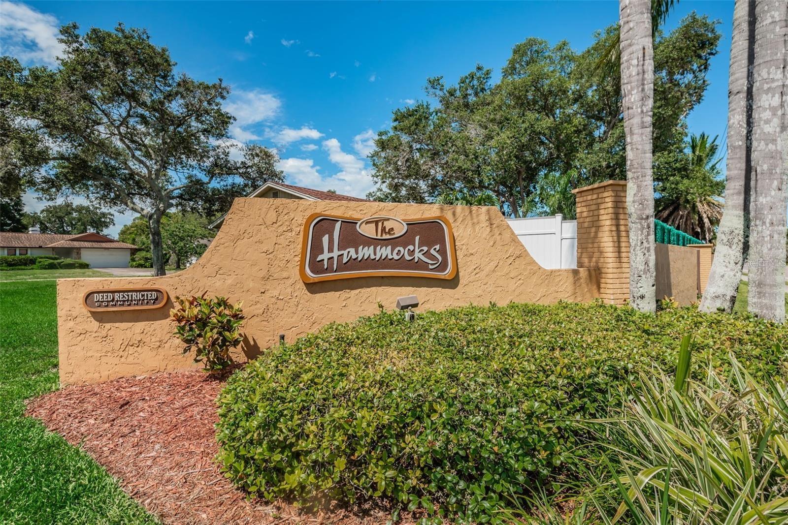 Image 51 of 82 For 308 Hammock Drive