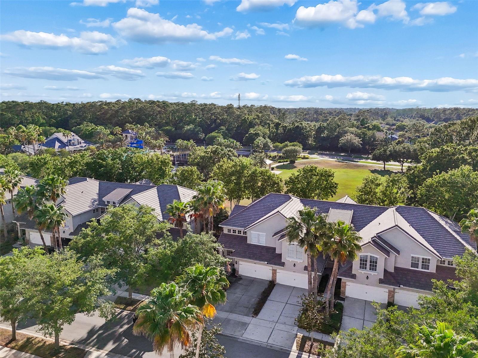 Image 56 of 85 For 14413 Mirabelle Vista Circle