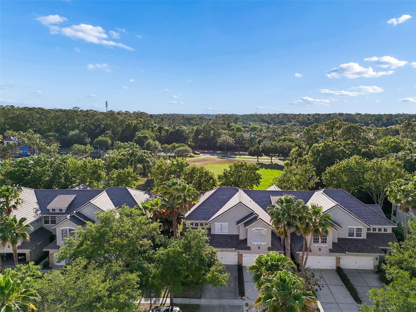 Image 57 of 85 For 14413 Mirabelle Vista Circle