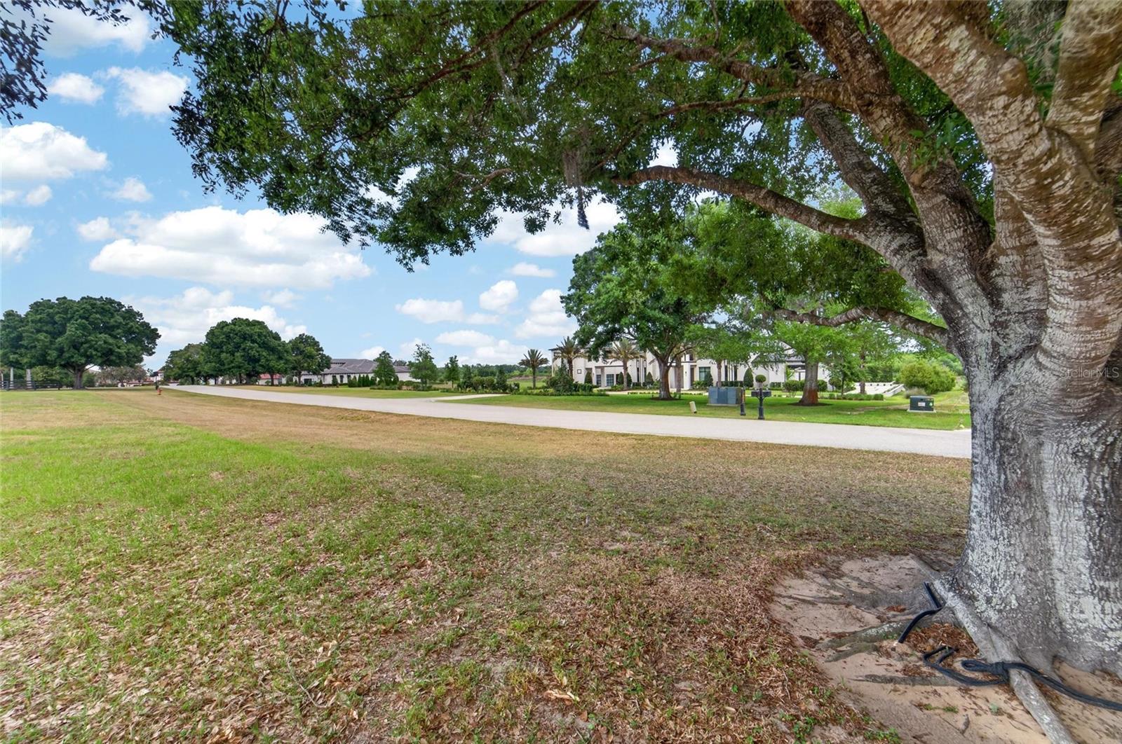 Image 23 of 25 For 12325 Stonelake Ranch Boulevard
