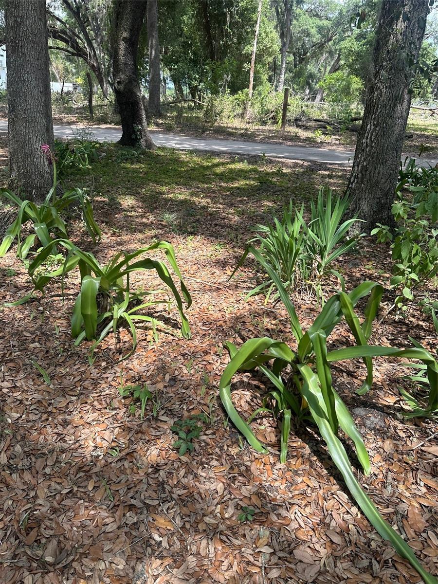 Image 2 of 11 For 9068 12th Drive